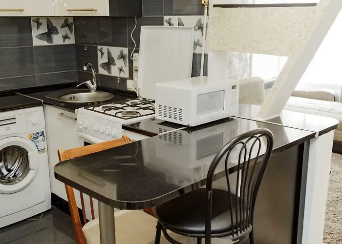 Transitional Havryky Apartment